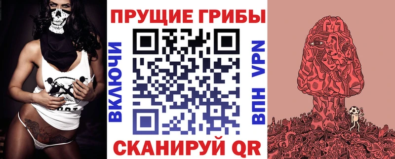 Купить  Кинель  Псилоцибиновые грибы мицелий 